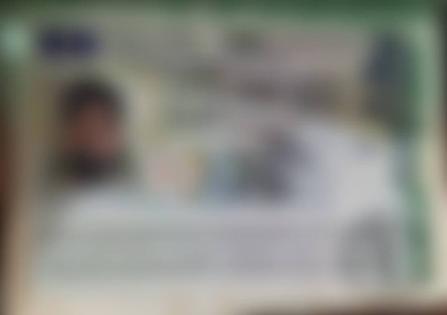 Approved student visa (details blurred for privacy)
