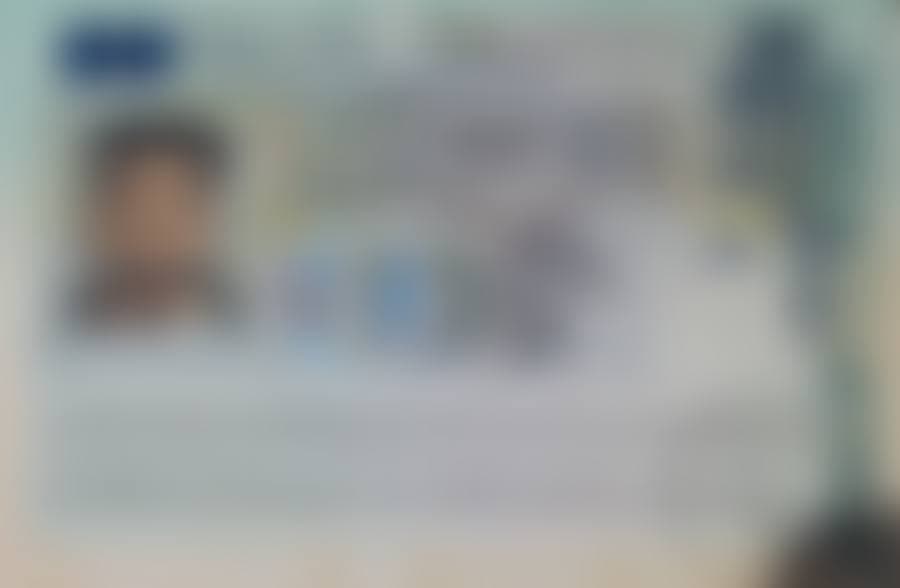 Approved student visa (details blurred for privacy)