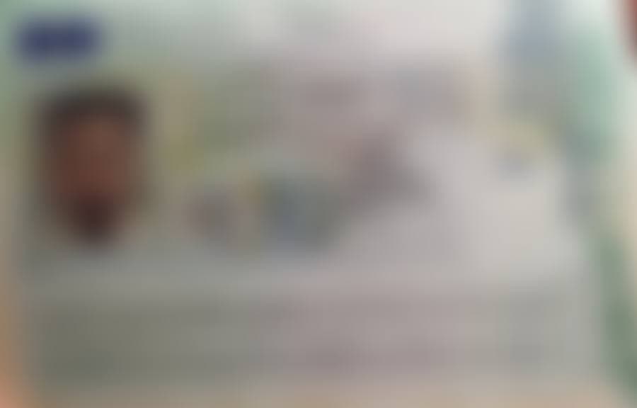 Approved student visa (details blurred for privacy)