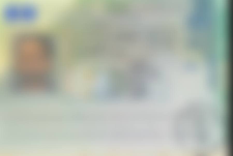 Approved student visa (details blurred for privacy)