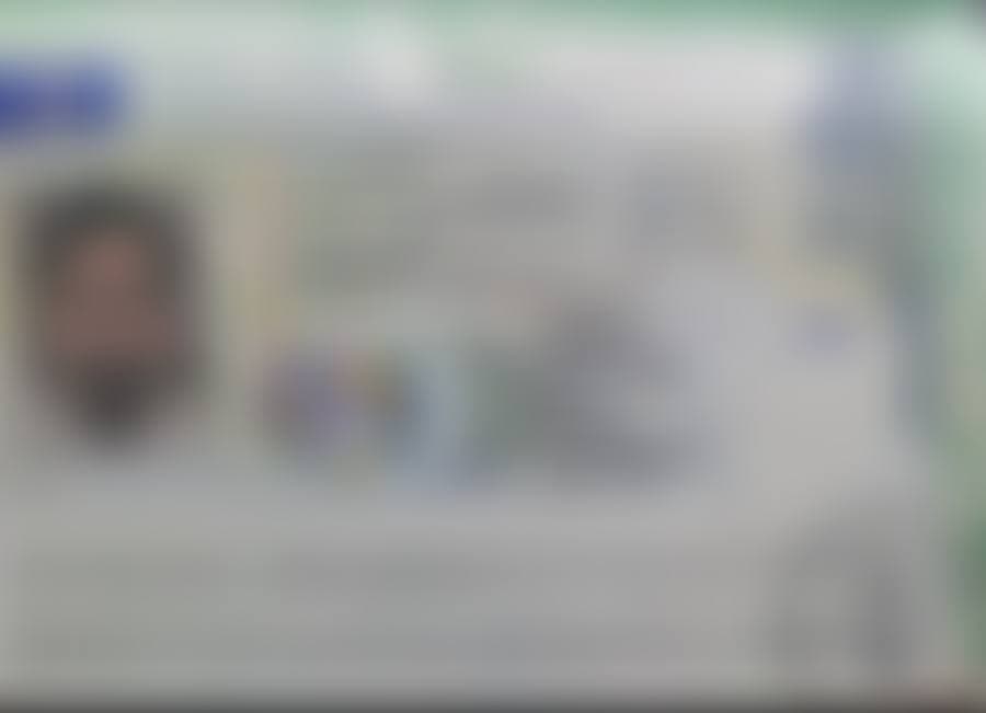 Approved student visa (details blurred for privacy)