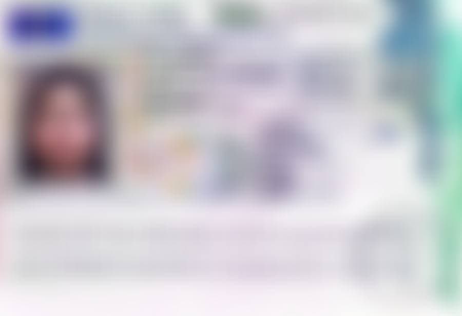 Approved student visa (details blurred for privacy)